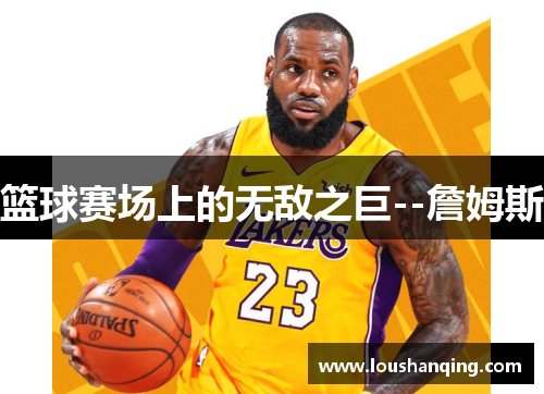 篮球赛场上的无敌之巨--詹姆斯