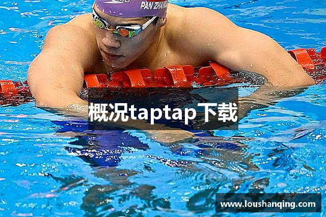概况taptap下载